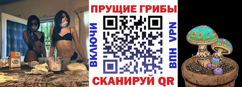 Купить где  Юрьевец  Псилоцибиновые грибы ЛСД 